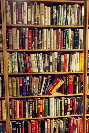 bookshelf-with-books