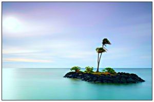desert island with two palm trees surrounded by sea